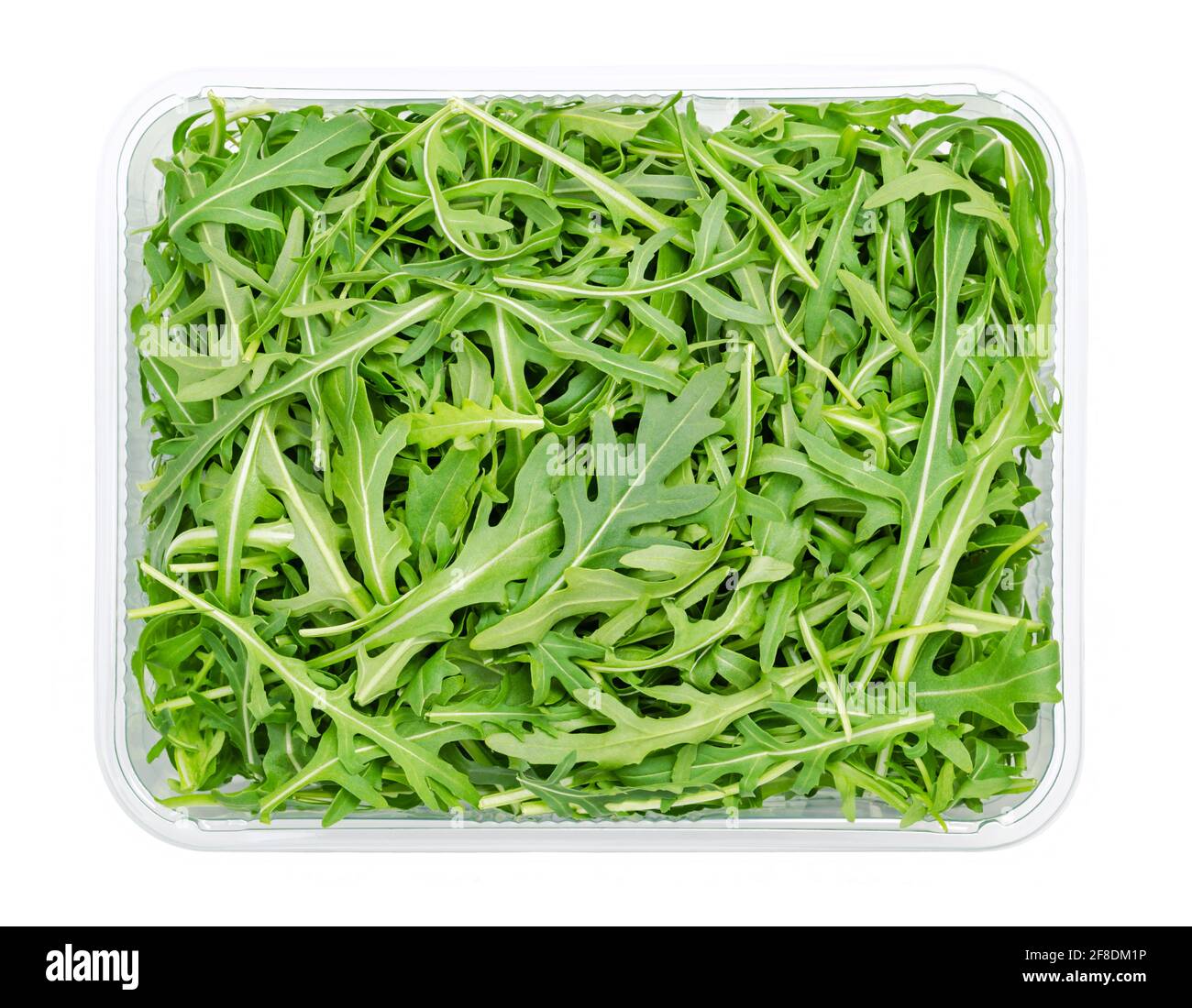 Fresh arugula, raw rocket salad in plastic container, from above. Garden rocket, Eruca vesicaria, used as leaf vegetable, salad vegetable and garnish. Stock Photo