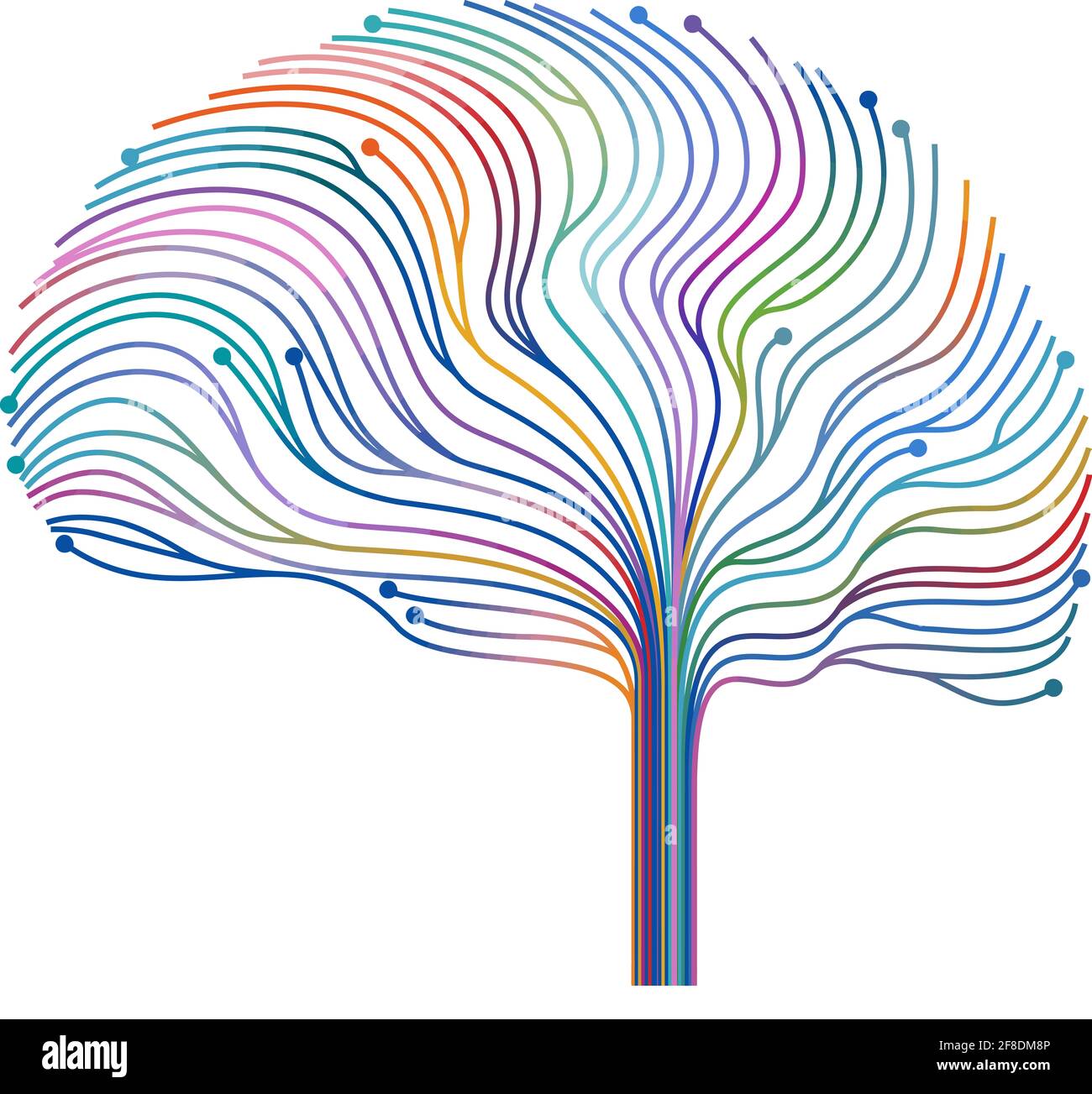 brain internal connection memory Stock Photo Alamy