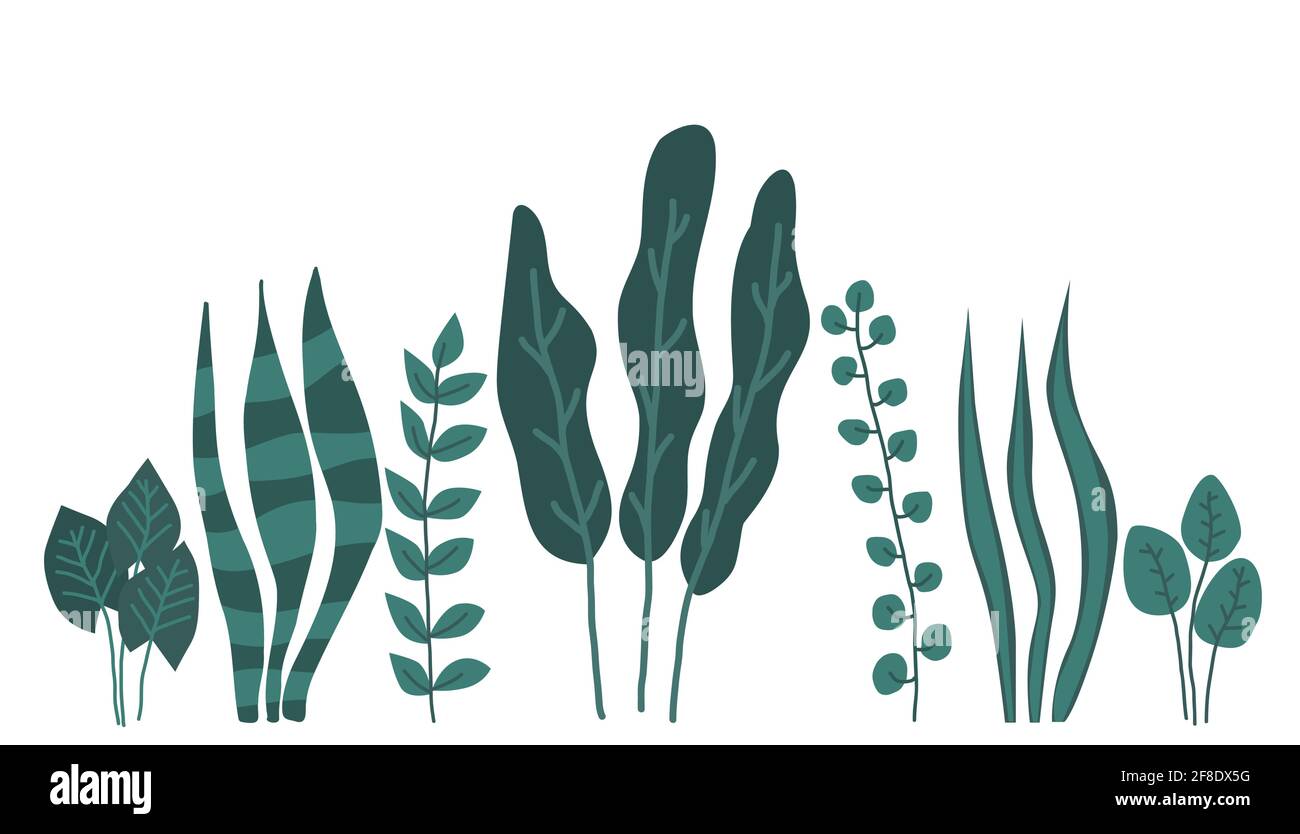 Green leaves set on white background vector illustration Stock Vector ...