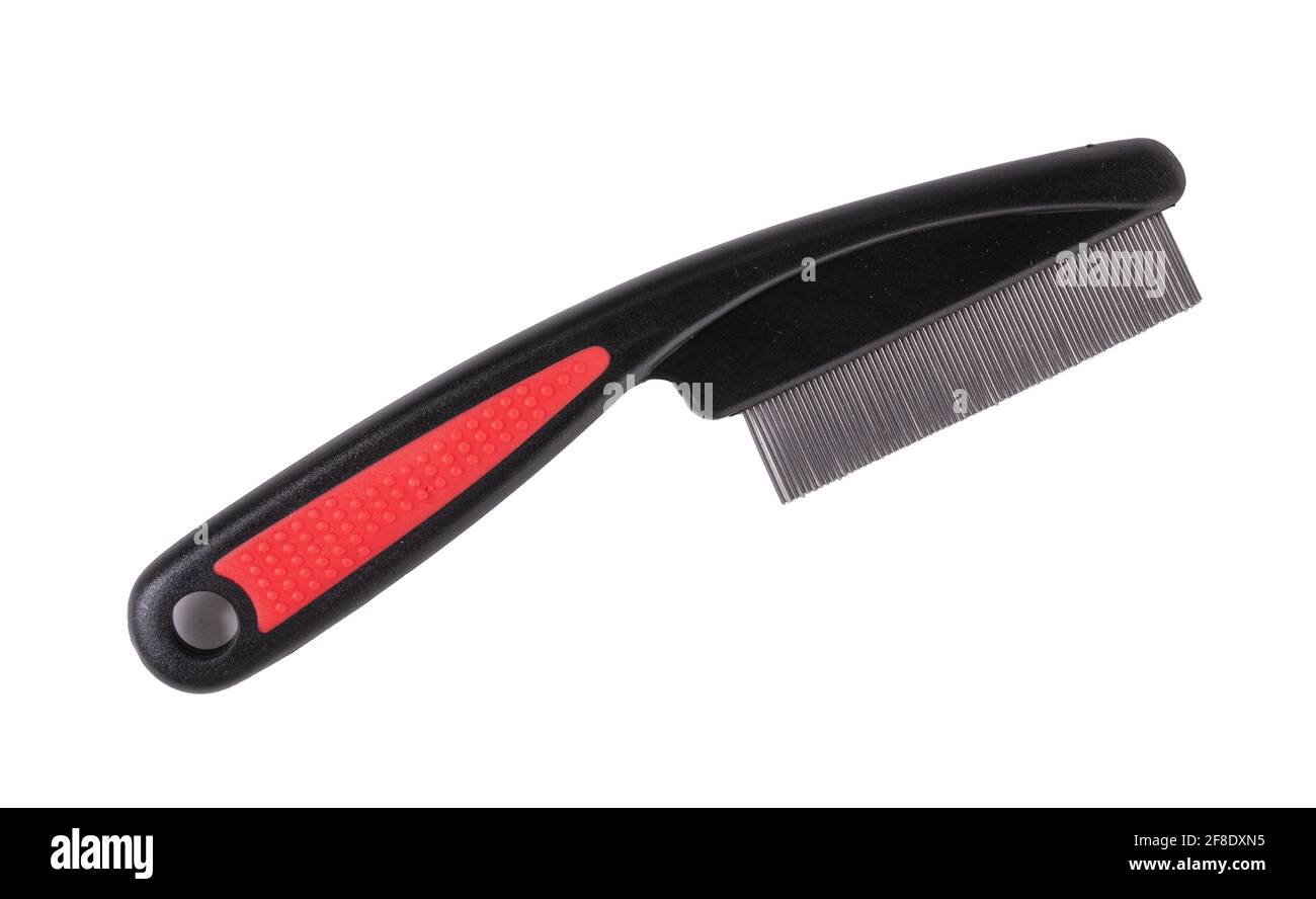 Comb anti flea for dog or cat on white background Stock Photo Alamy