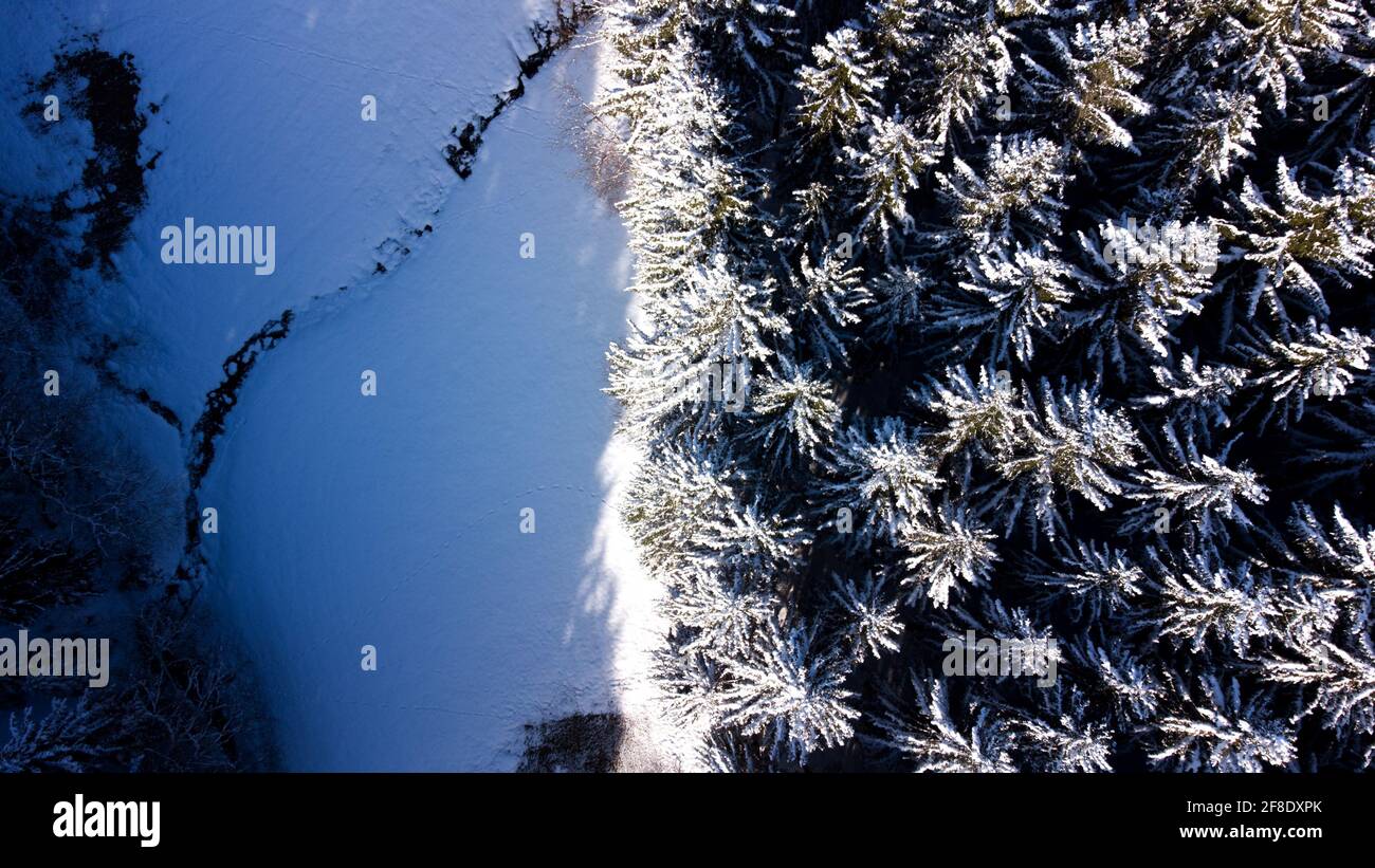 Aerial view of a frozen river through a forest of snowy spruce trees in ...