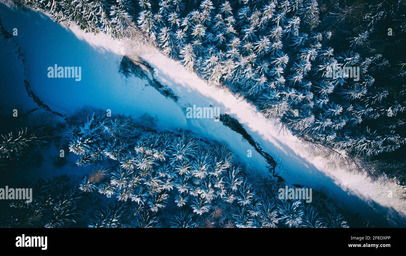 Aerial view of a frozen river through a forest of snowy spruce trees in ...