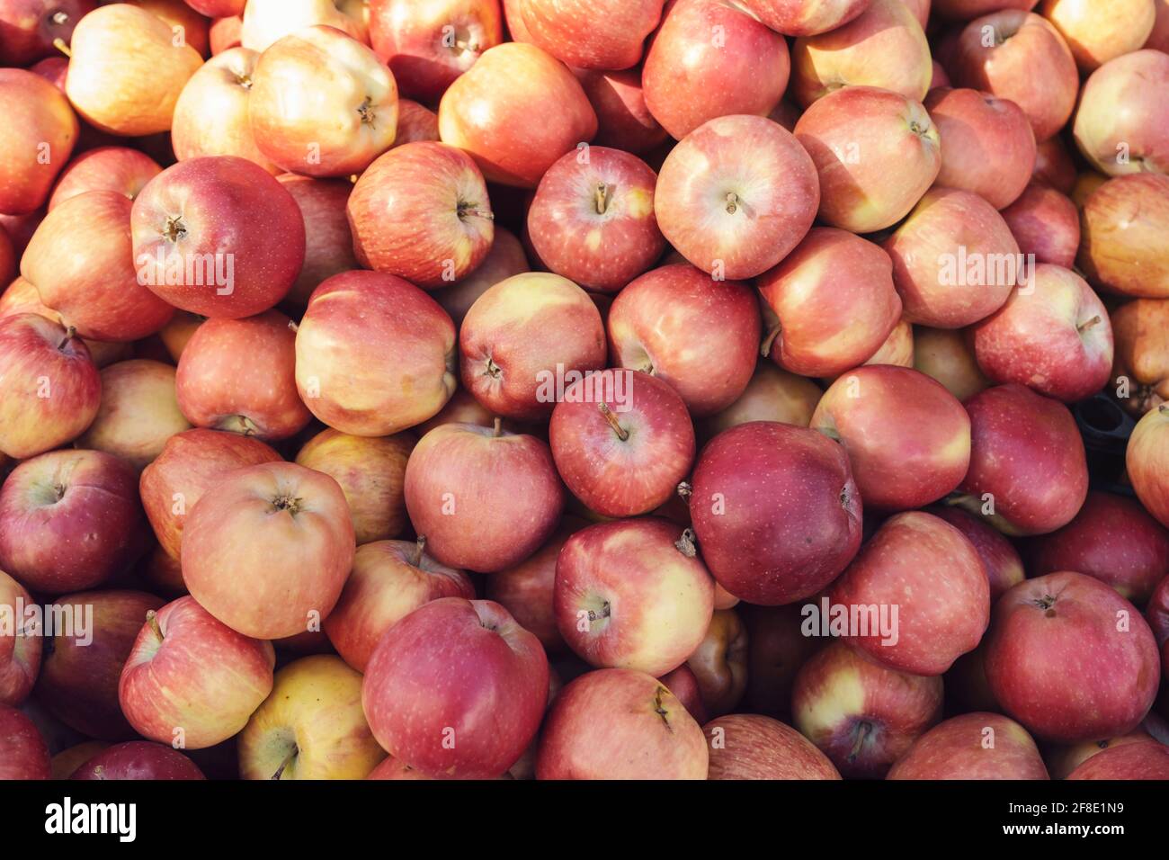 Large quantities of food hi-res stock photography and images - Alamy