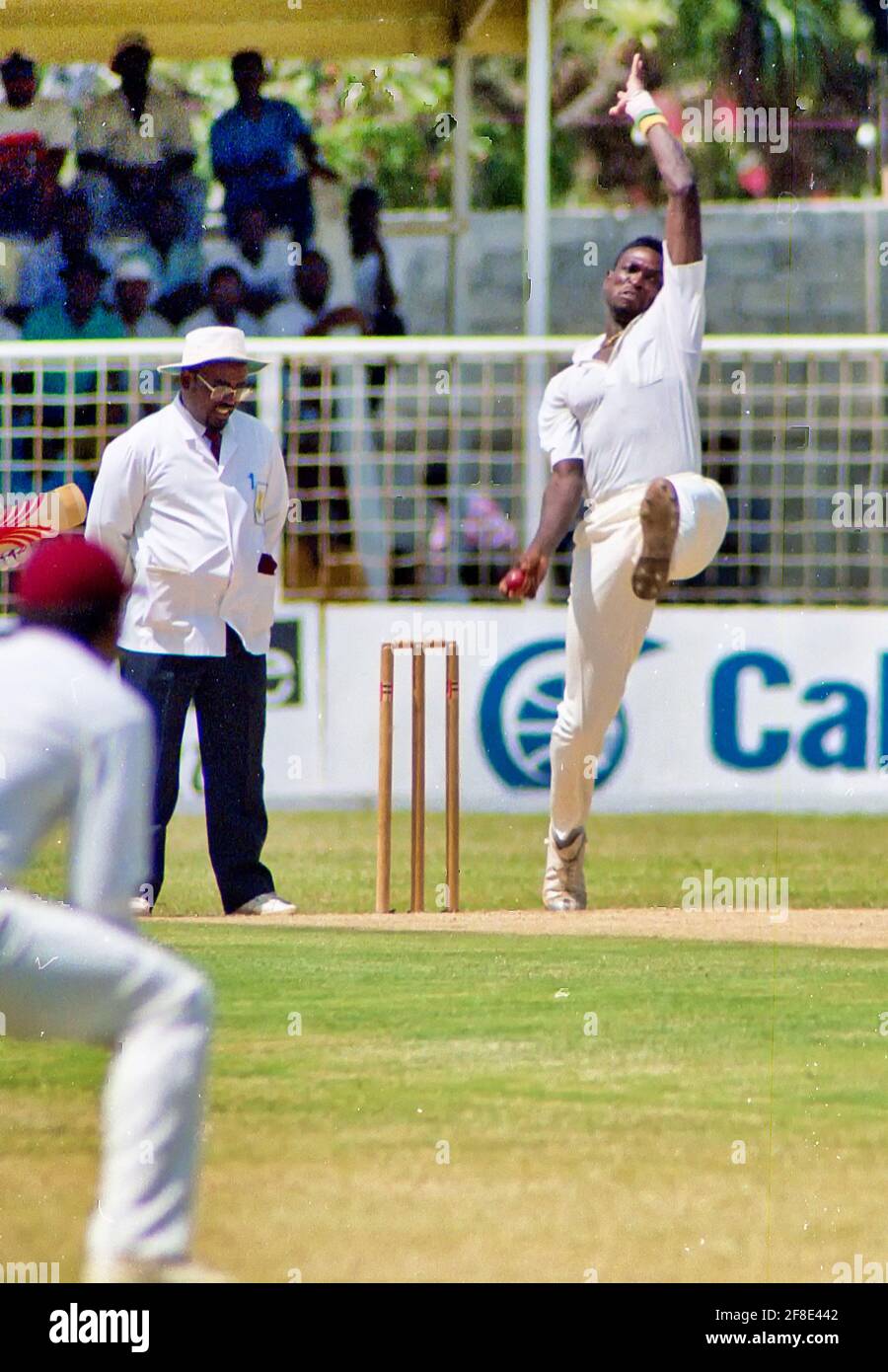 West Indies fast bowler in the fifth test match vs. Australia at the Antigua Recreation Ground, in St. John’s, Antigua 27 April–1 May 1991 Stock Photo