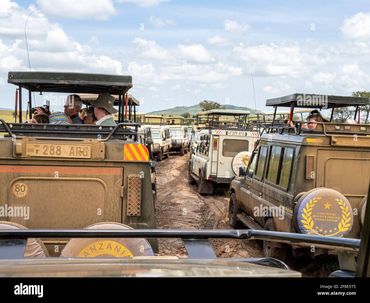Serengeti National Park, Tanzania, Africa - February 29, 2020: Safari jeeps lined up observing animals Stock Photo