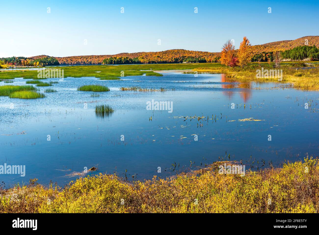 Autumn on Tupper Lake, Franklin County, Adirondack Park, New York Stock 
