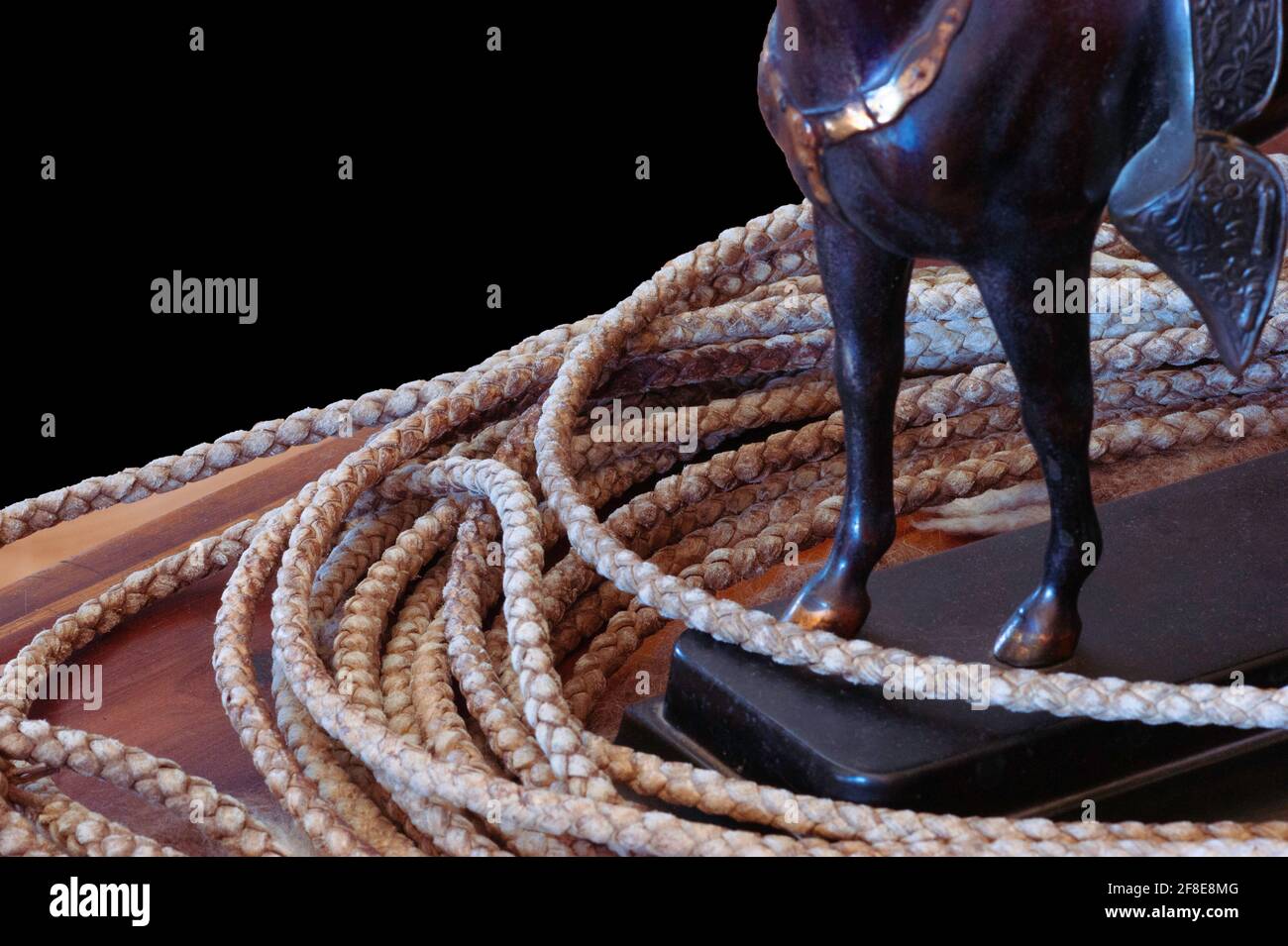 Closeup of lariat rawhide rope encircling forelegs of riding horse