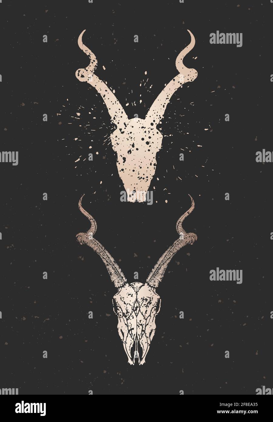 Vector illustration with two variants of hand drawn antelope skull on