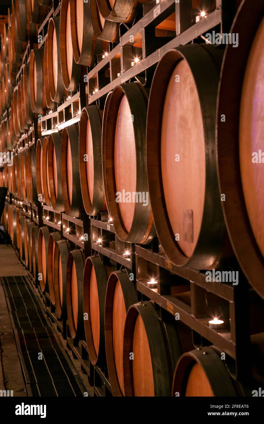 Fronts of wood wine barrels in rows and stack up on each other at a ...