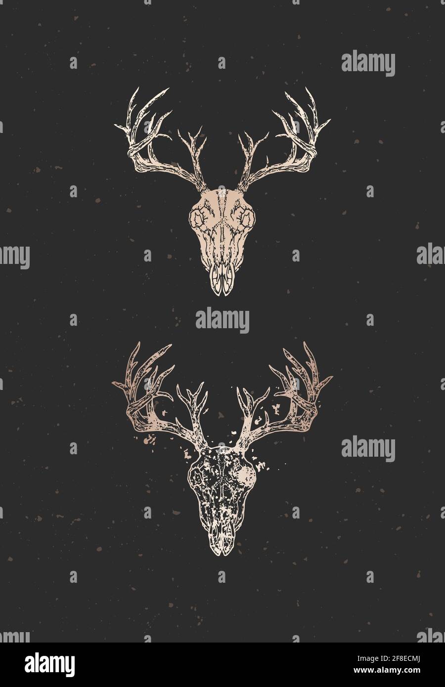 Vector illustration with two variants of hand drawn deer skull on black ...