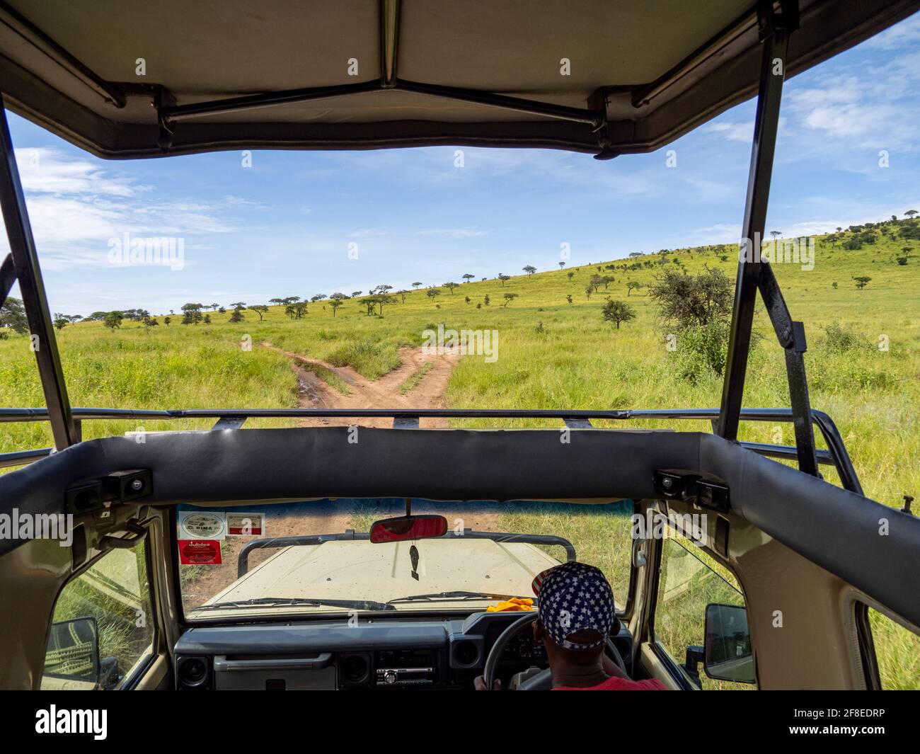 Serengeti National Park, Tanzania, Africa - February 29, 2020: View from the safari jeep looking across the Savannah Stock Photo