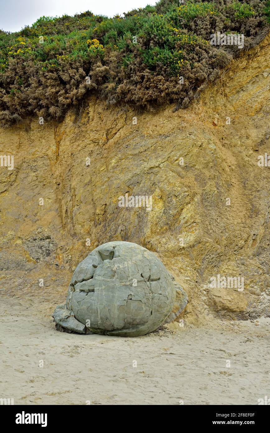 They originally formed in ancient sea floor sediments around 60 million