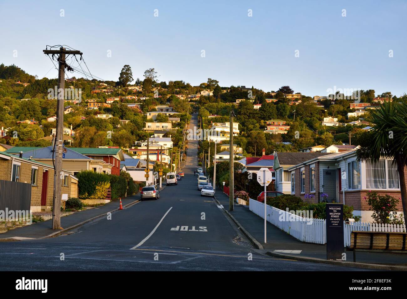 Baldwin Street, in Dunedin, New Zealand is the world's steepest residential street, according to the Guinness World Records. It is located in the resi Stock Photo