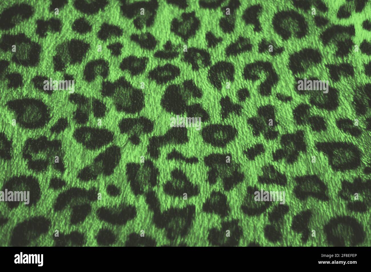 Green Leopard Fur Texture Stock Photo, Picture and Royalty Free