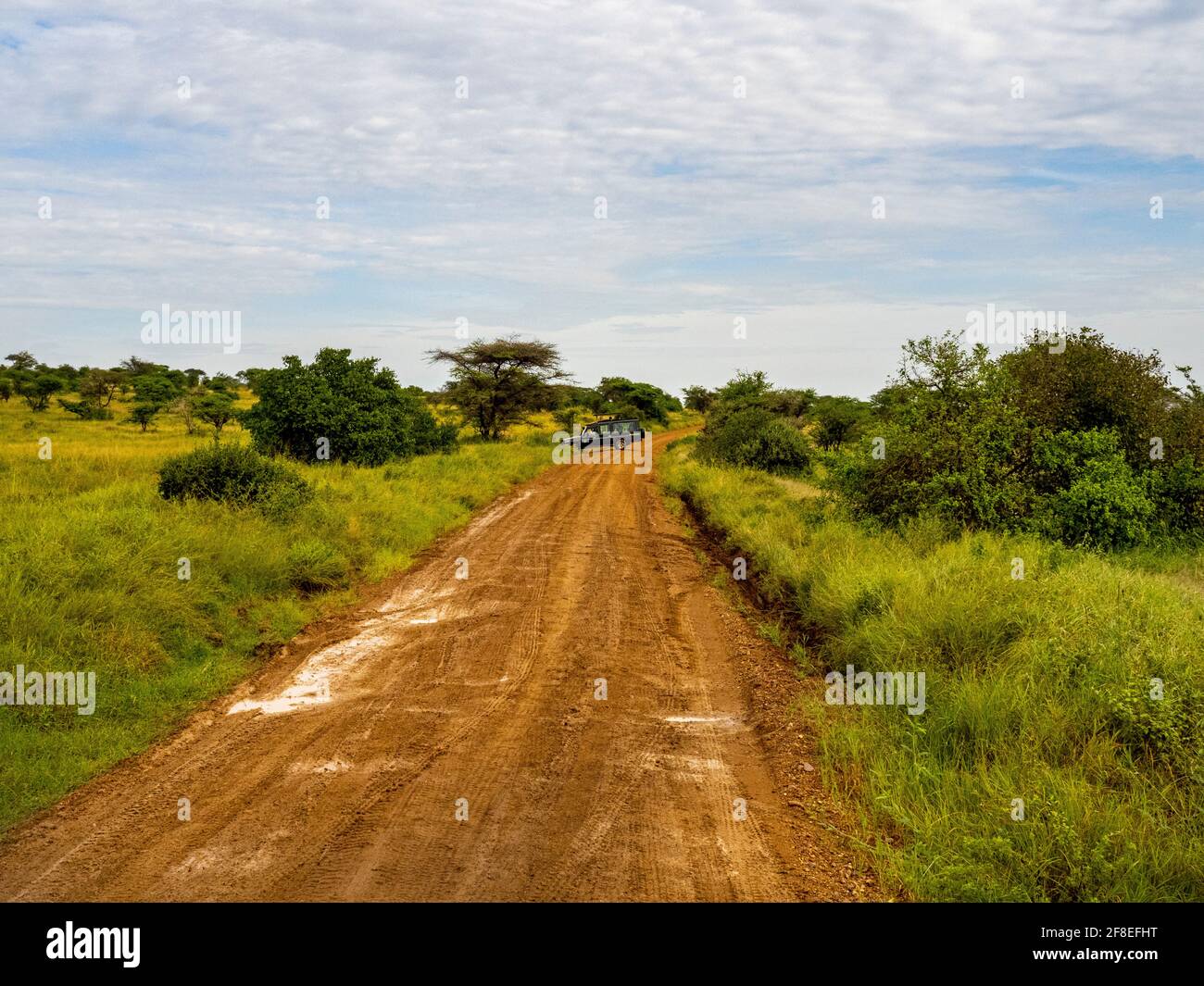 Serengeti National Park, Tanzania, Africa - February 29, 2020: Safari Jeeps parked along dirt road in Serengeti National Park Stock Photo