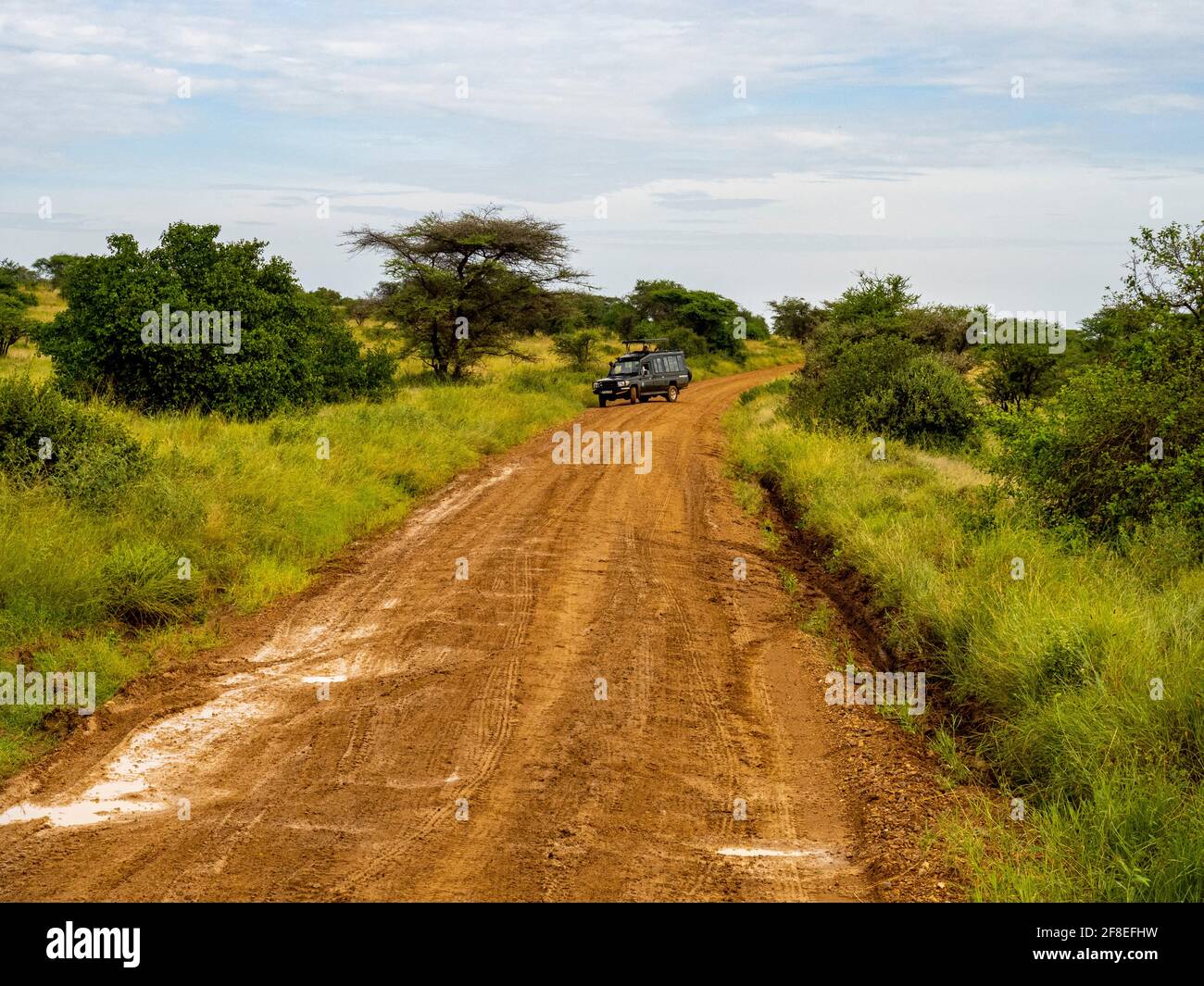 Serengeti National Park, Tanzania, Africa - February 29, 2020: Safari Jeeps parked along dirt road in Serengeti National Park Stock Photo