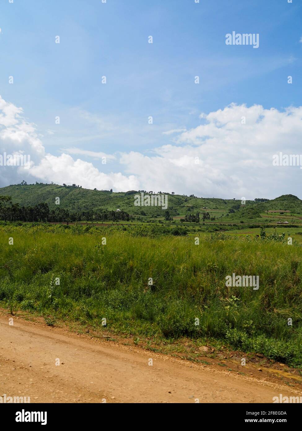 Tanzania, Africa - February 27, 2020: Lush green scenery along dirt road in Tanzania Stock Photo