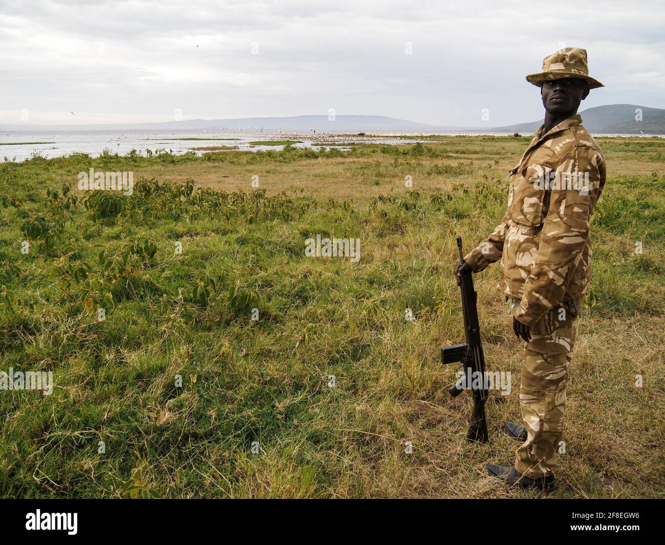 Park Ranger in Camo carrying Gun, Lake Nakuru, Kenya, Africa Stock Photo