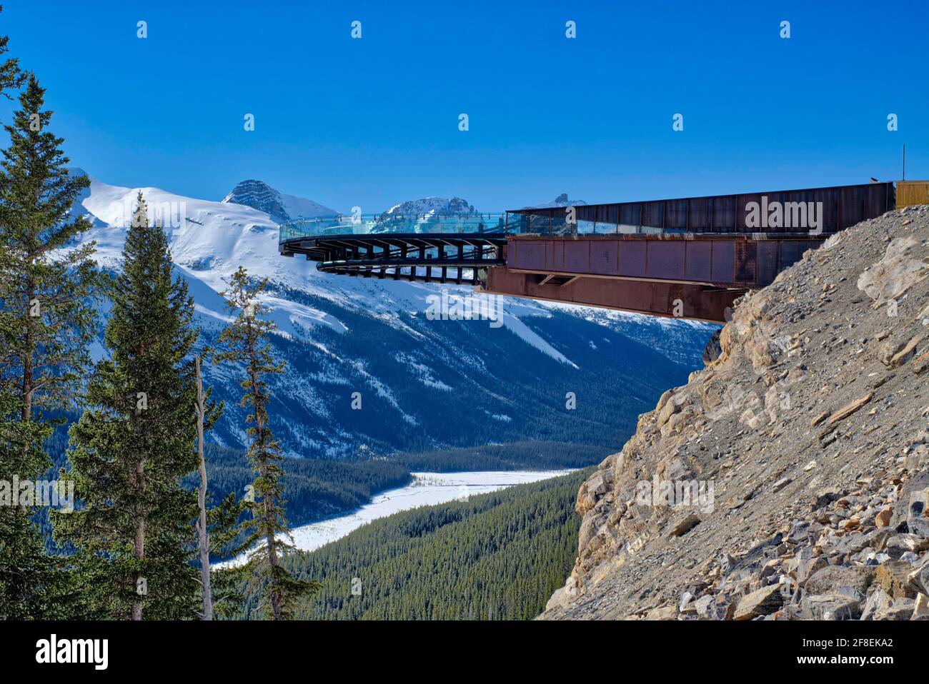The largest cantilevered platform in the America’s, the Glacier Skywalk is situated above a deep