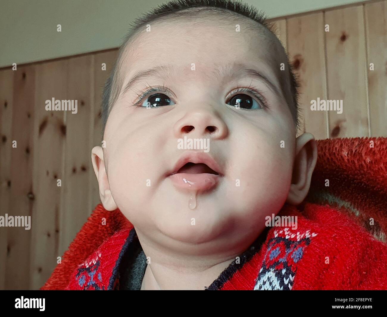 Beautiful kid different poses looks very handsome. Small child after