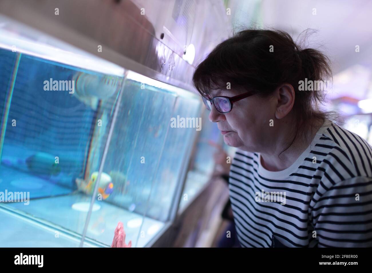 Mature woman swimming indoor hi-res stock photography and images - Alamy