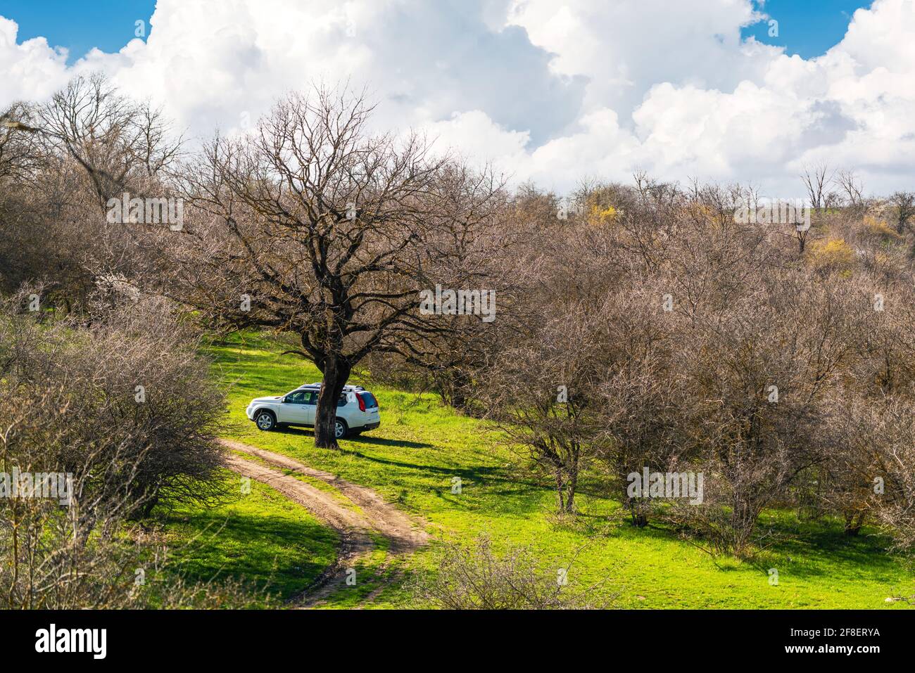 Nissan Xtrail SUV on nature Stock Photo