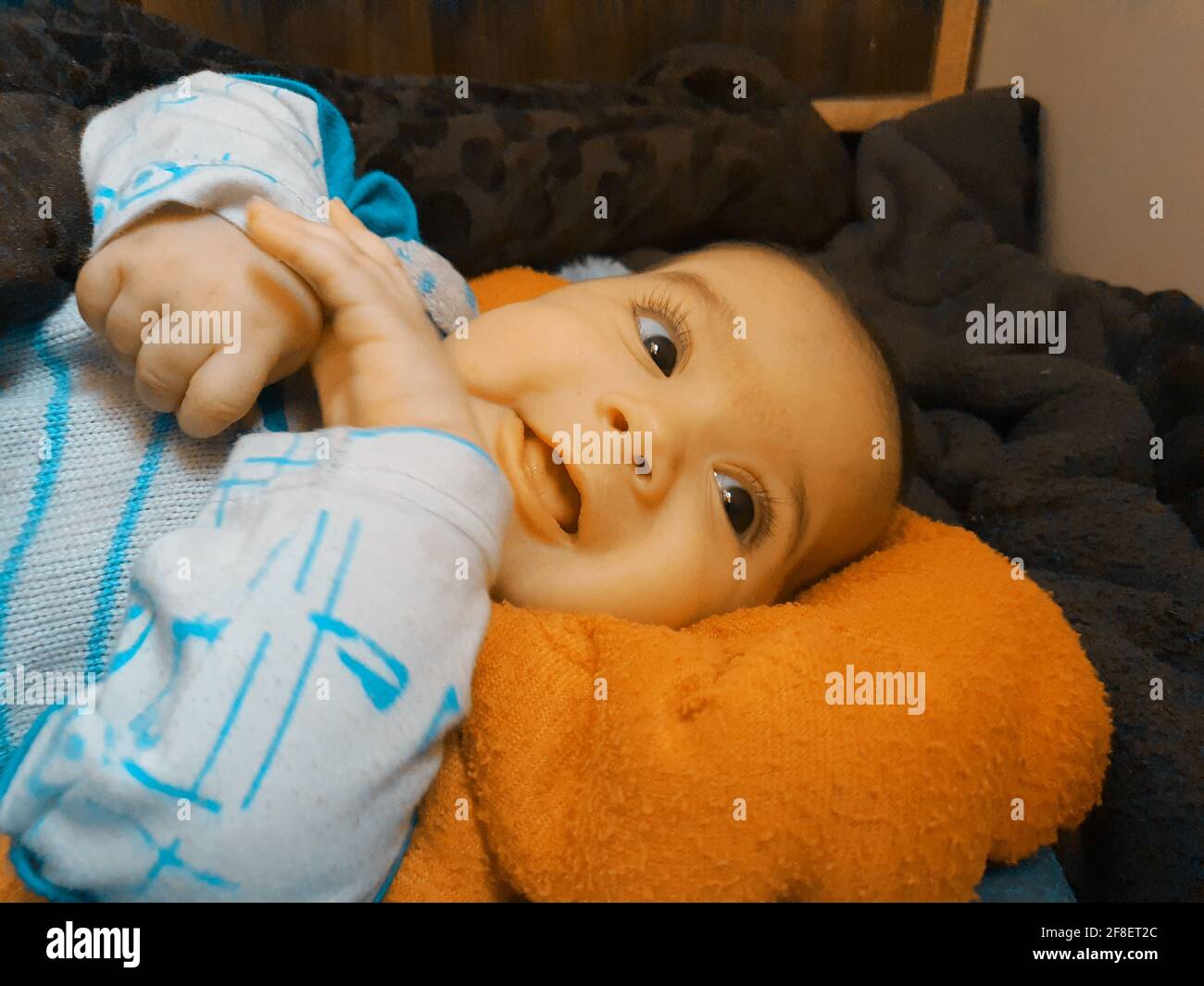 Smiling kid photographs at home under blanket looks beautiful. Digital