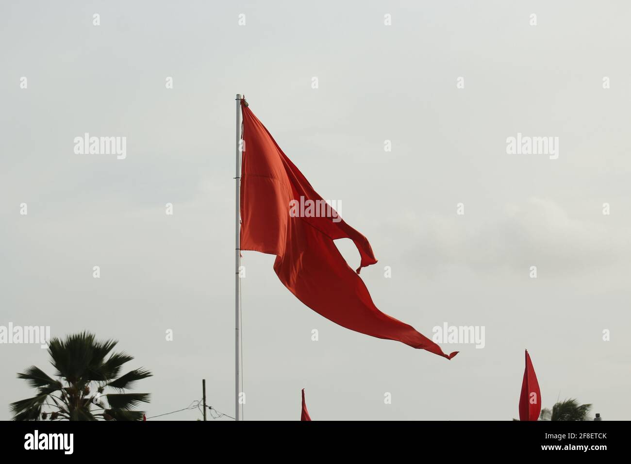 A close up of a Temple flag Stock Photo Alamy