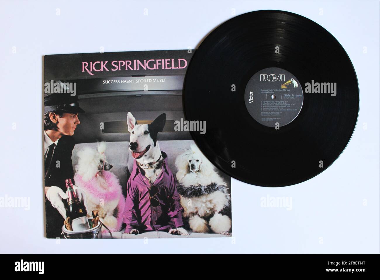 Pop rock artist, Rick Springfield music album on vinyl record LP disc. Titled: The Genius Success Hasn't Spoiled Me Yet album cover Stock Photo