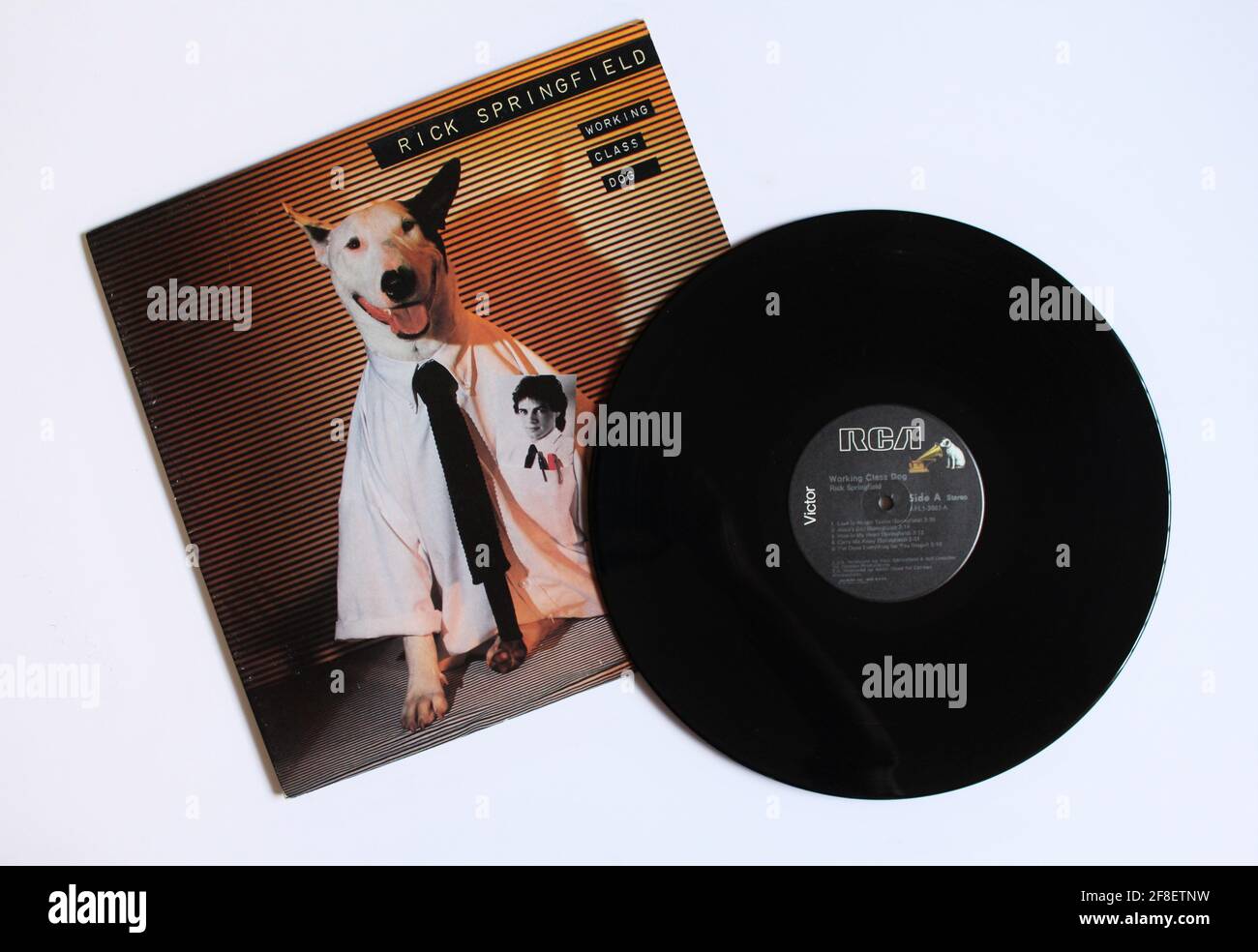 Pop rock artist, Rick Springfield music album on vinyl record LP disc. Titled: Working Class Dog album cover Stock Photo