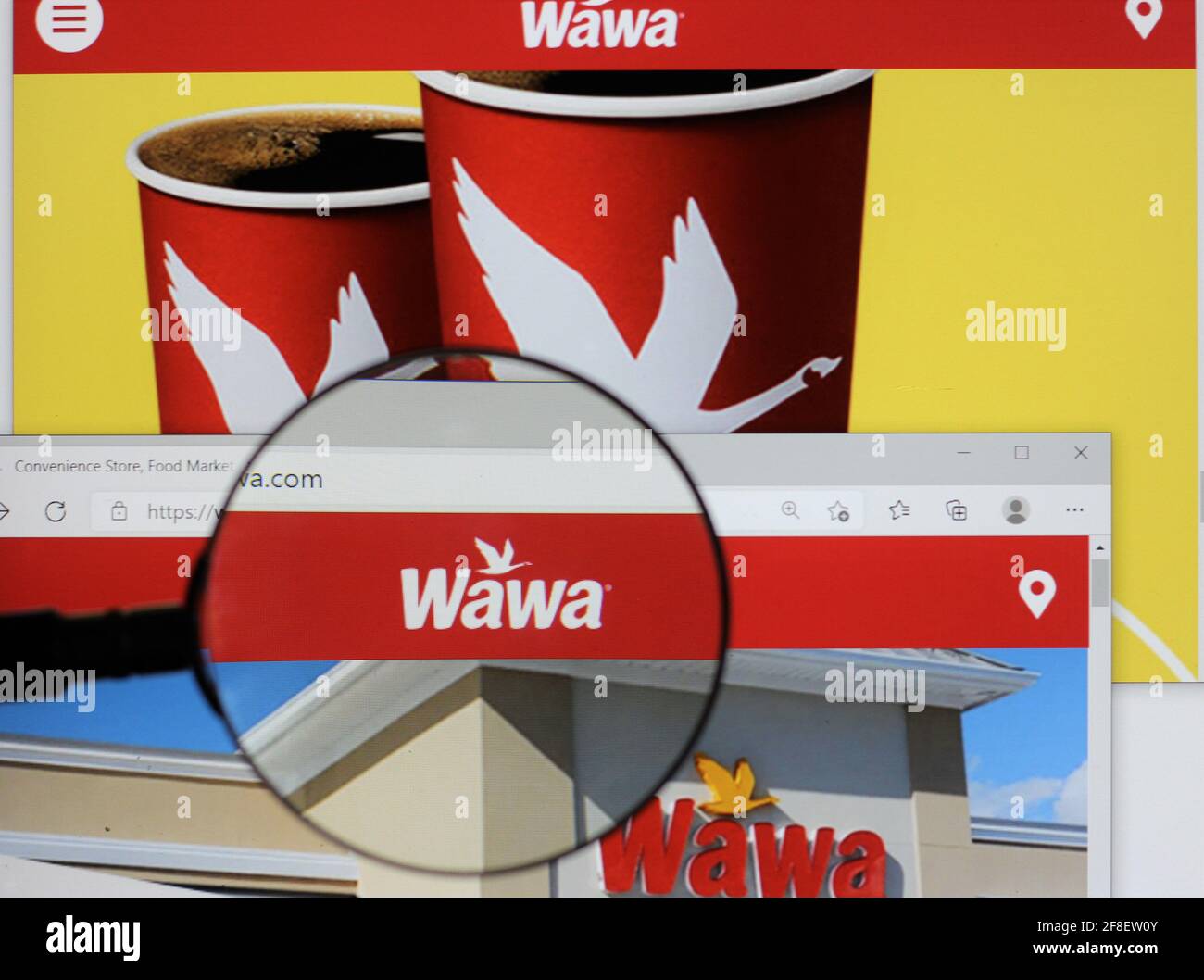 Wawa, Inc. is an American chain of convenience stores and gas stations located along the East Coast of the United States. Wawa logo on web search, web Stock Photo