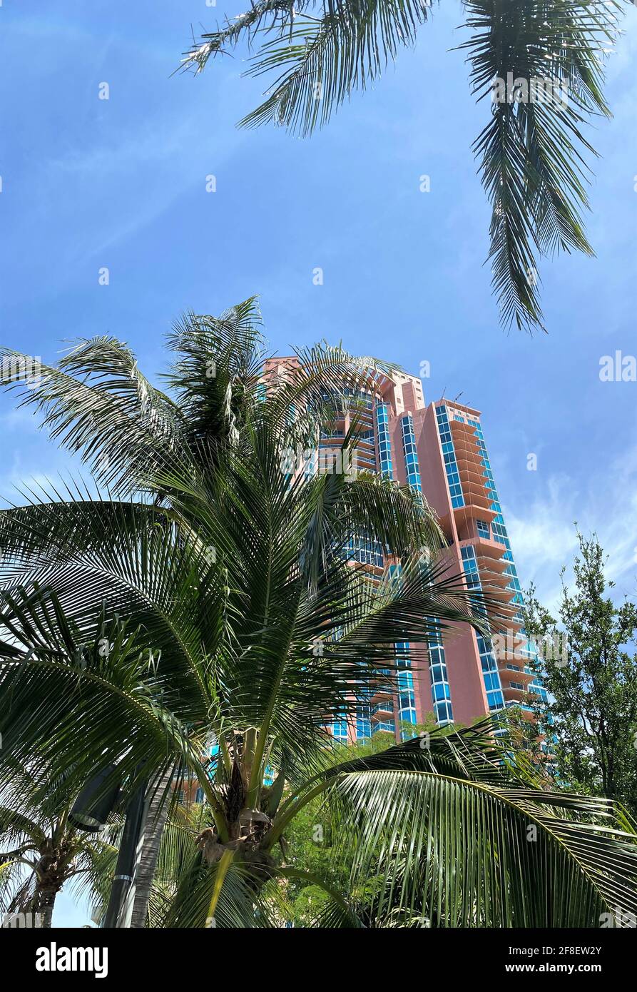 Portofino Tower is a residential skyscraper in Miami Beach, Florida. South Beach. High-rise hidden behind palm trees Stock Photo