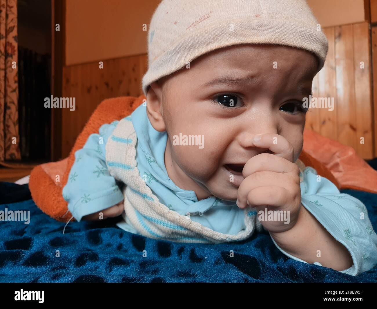 Smiling kid photographs at home under blanket looks beautiful. Digital ...