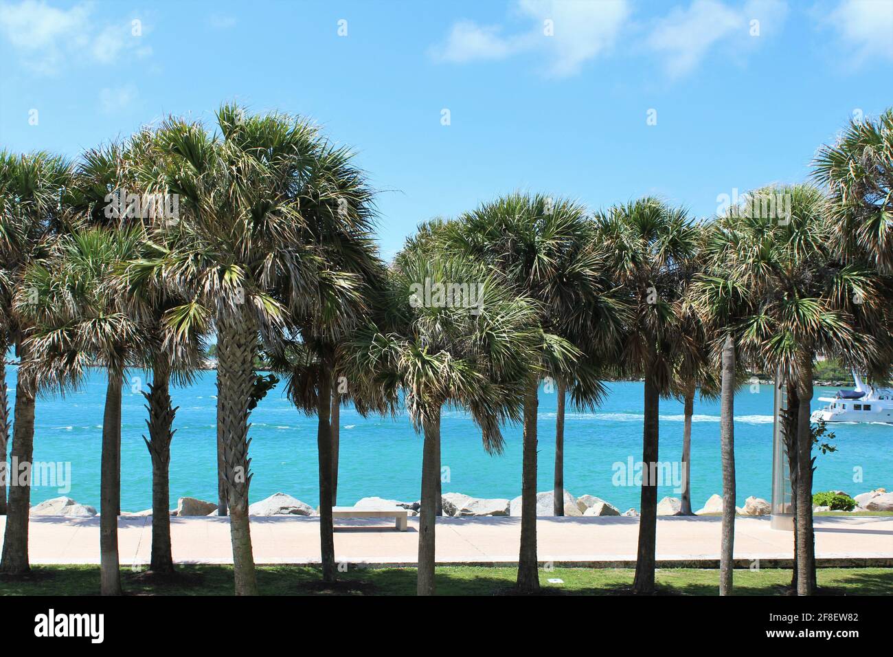 Tropical beach with palm trees paradise. Beach, nature, sea, summer and leisure concept. Copyspace Stock Photo