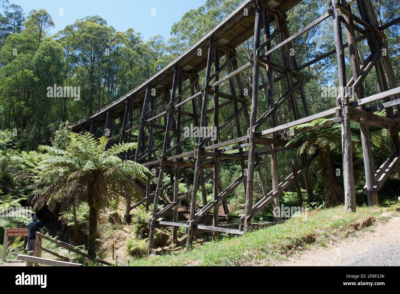 The Noojee trestle bridge was built to carry the railway across a steep gully. The trains made the trip to Warrigal take a few hours not days by road. Stock Photo