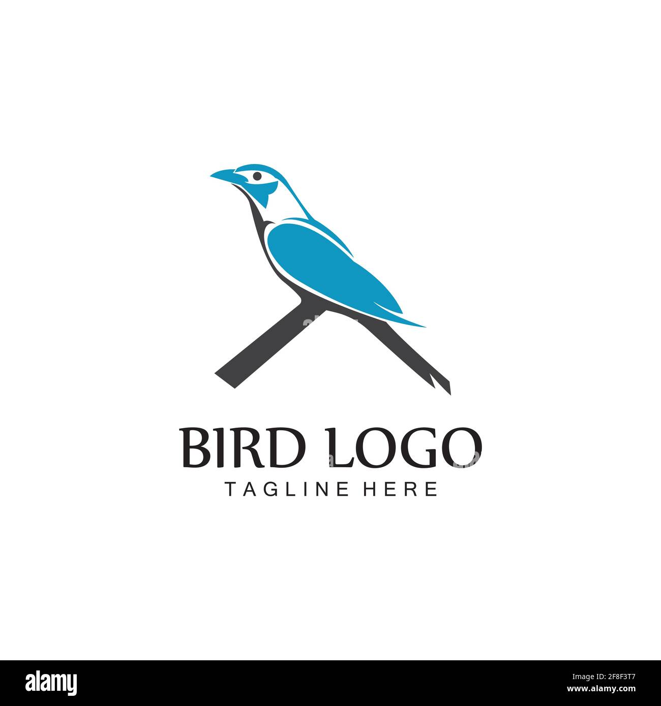 bird logo vector icon design template Stock Vector Image & Art - Alamy