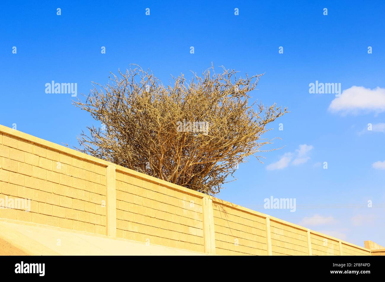 Zubaida canal in taif, saudi arabia Stock Photo Alamy