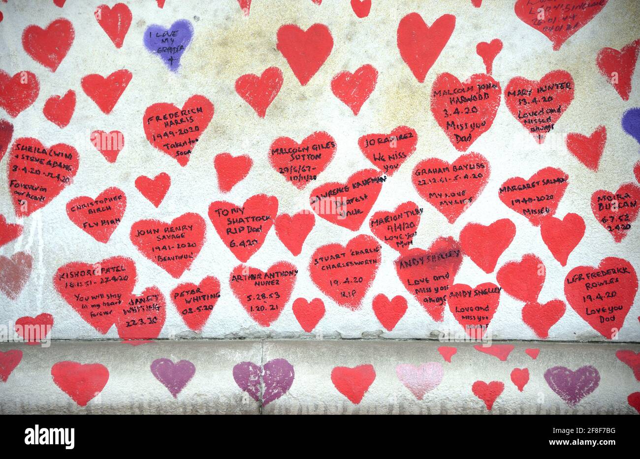London, England, UK. National Covid Memorial Wall along the Thames Embankment, opposite the Houses of Parliament, c150,000 hearts commemorating the li Stock Photo