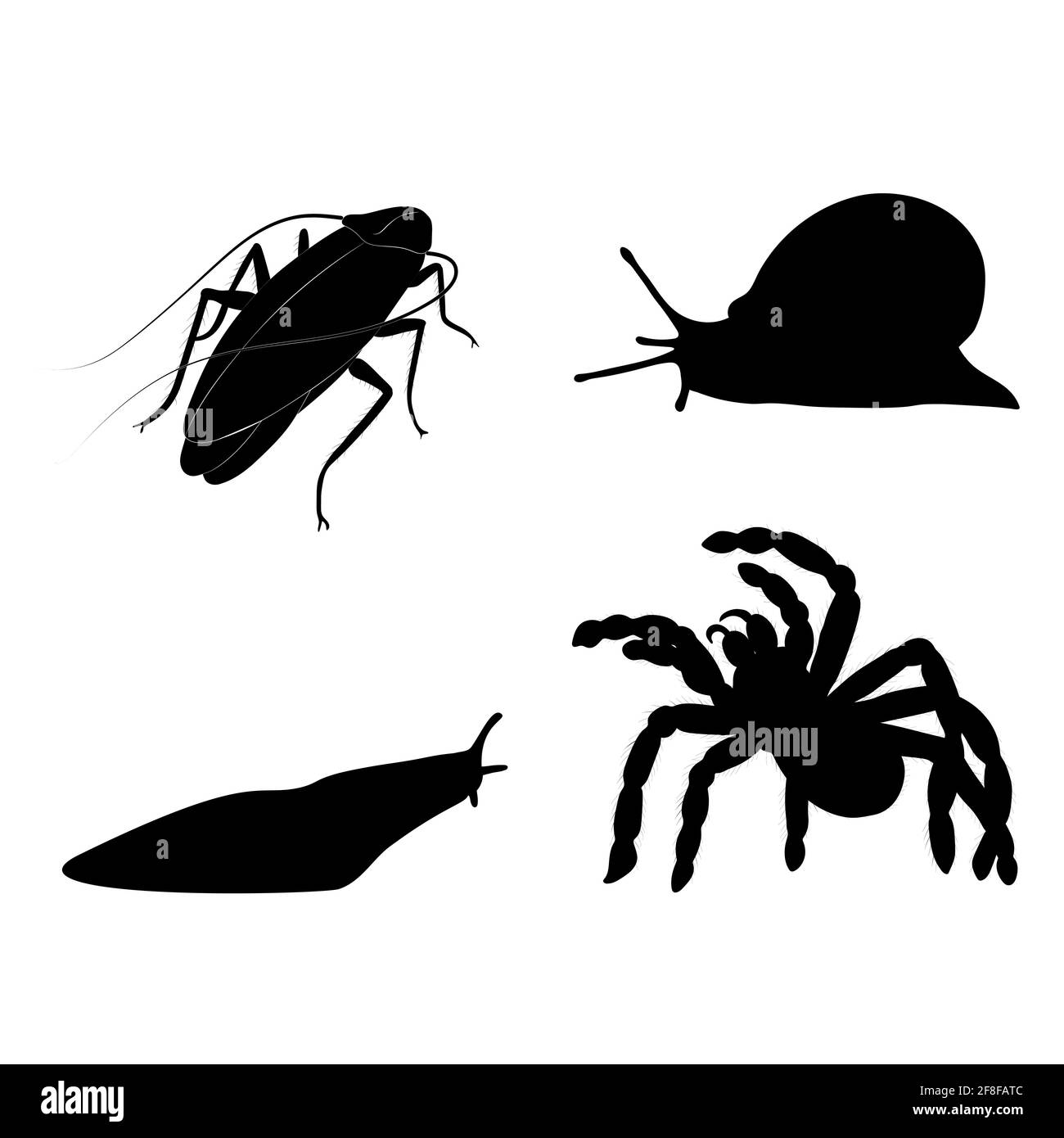 Slug vector vectors hi-res stock photography and images - Alamy