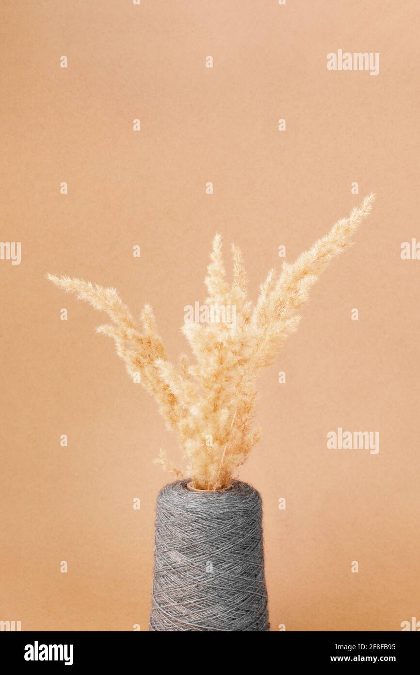close-up pampas grass or dry reeds plums made from a large spool of ...