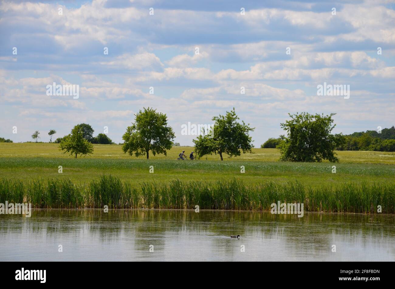 Active seniors are cycling in the countryside of Bavaria, Germany, alongside a pond, next to trees and fields, a sunny day in spring Stock Photo