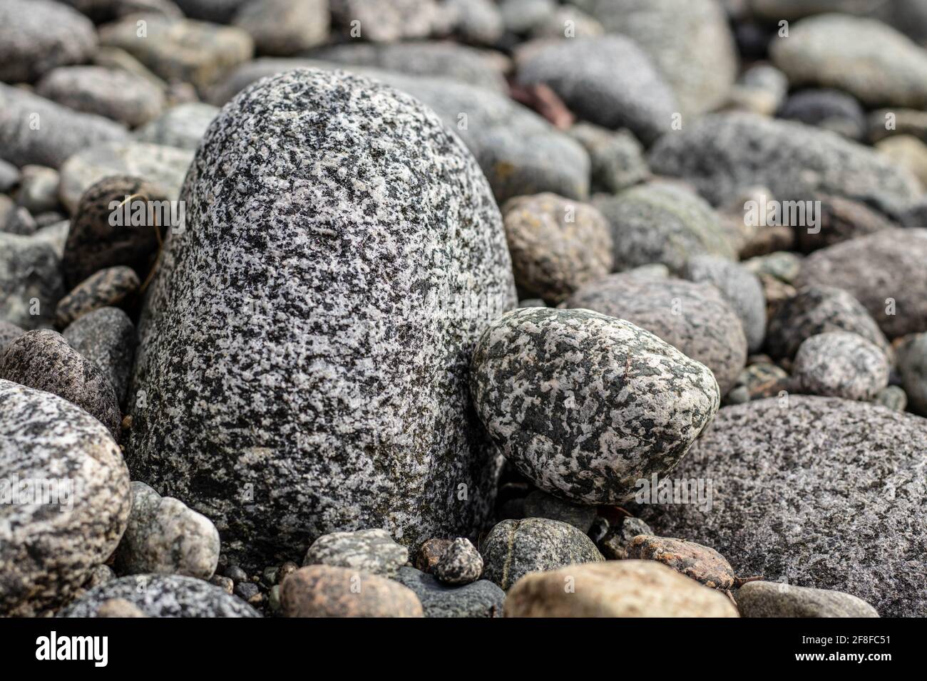 close up of speckled rock on milford shore Stock Photo