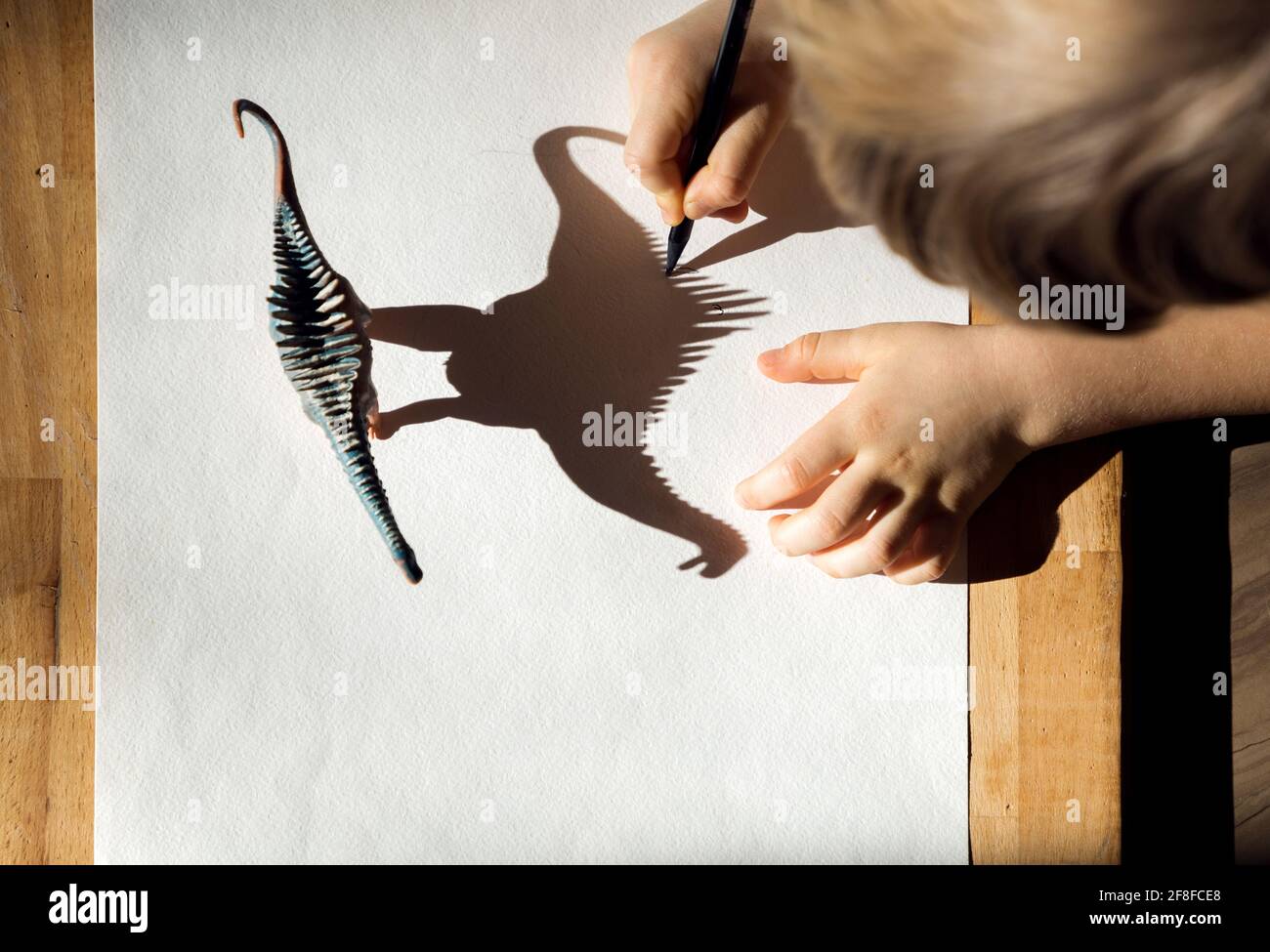 child with concentration outlines shadow of a toy dinosaur figure. The development of fine motor skills. children's entertainment. Ideas for creativit Stock Photo