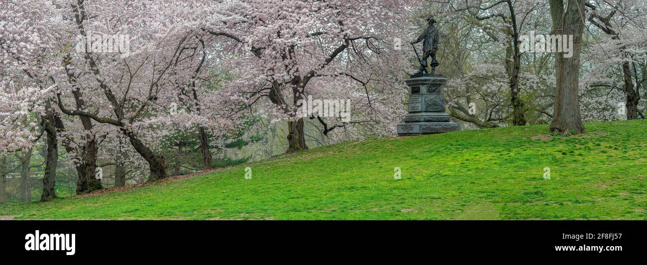 Spring in Central Park, New York City with Japanese Cherry trees Stock ...