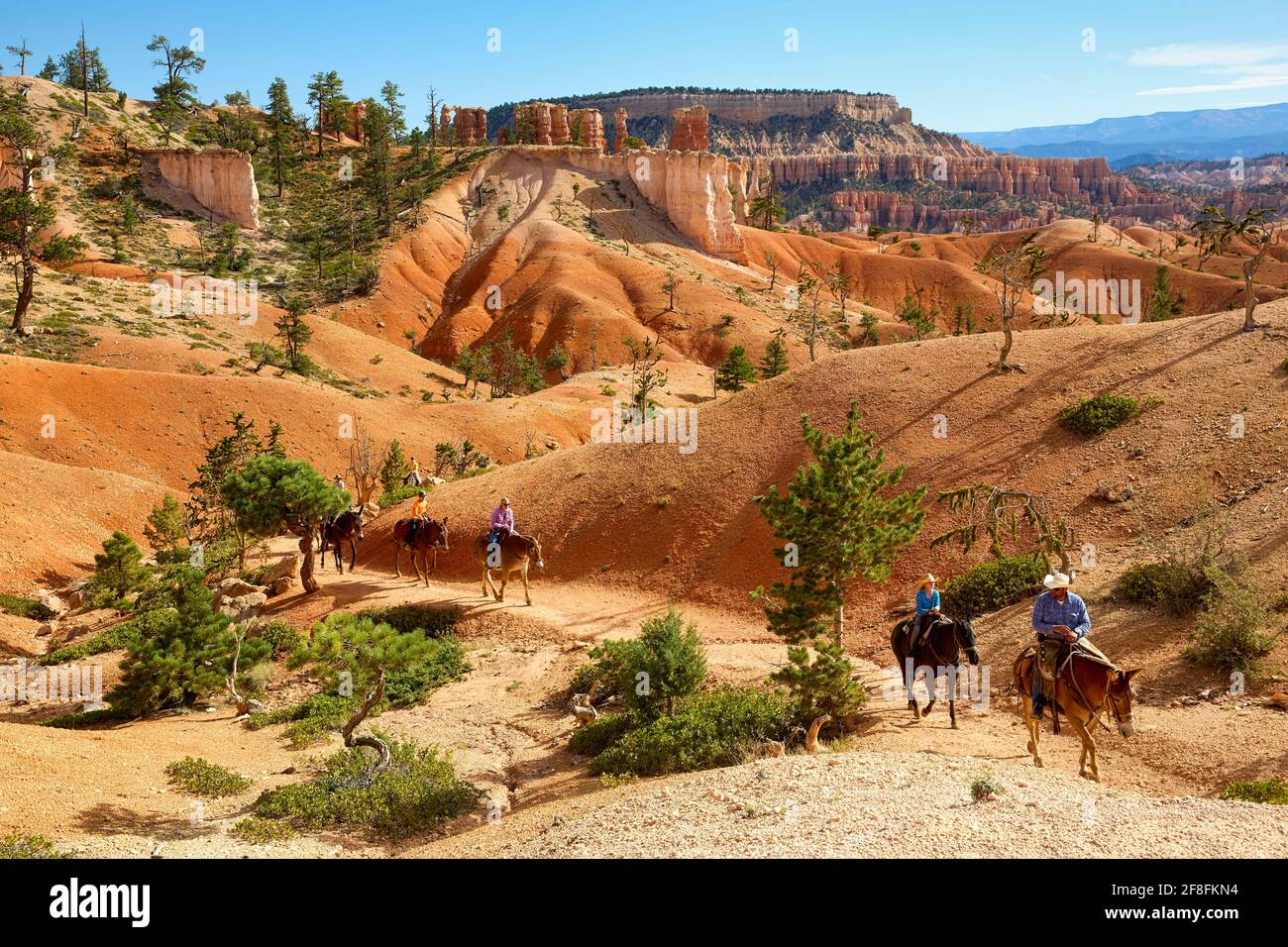 Tourists at the Horse Trail in the Bryce Canyon National Park. Utah USA Stock Photo