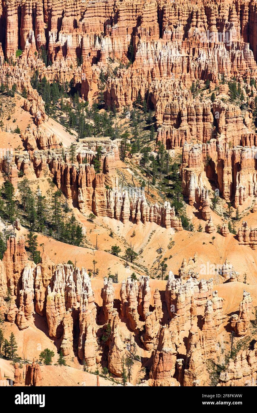 Bryce Point lookout in the Bryce Canyon National Park. Utah USA Stock Photo