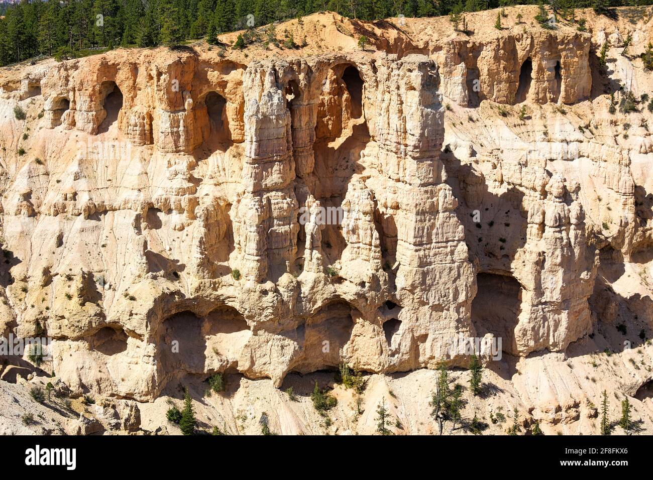 Bryce Point lookout in the Bryce Canyon National Park. Utah USA Stock Photo