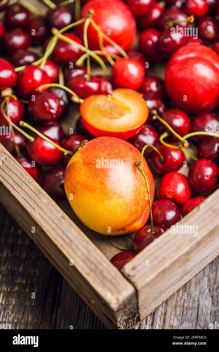 Ripe plums, nectarines and cherries in rustic pan. Selective focus. Stock Photo