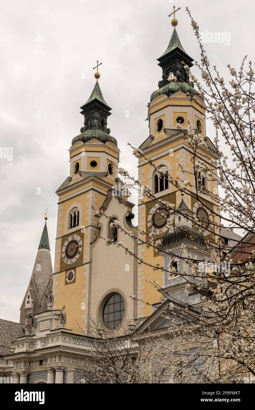 bilder maria aufnahme in den himmel