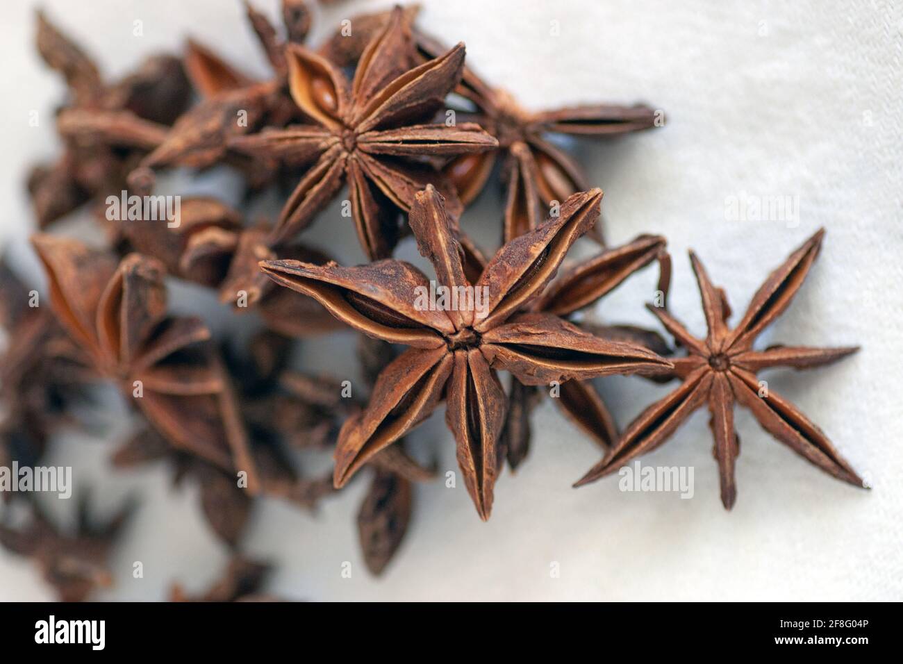 Star anise, Illicium verum Stock Photo